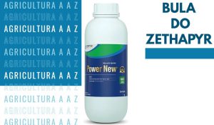 Leia mais sobre o artigo Bula do Zethapyr 106 SL CI: informações completas