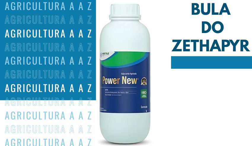 Leia mais sobre o artigo Bula do Zethapyr 106 SL CI: informações completas