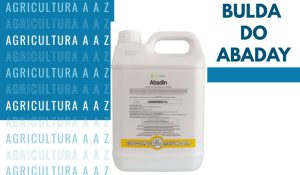 Leia mais sobre o artigo Bula do Abaday CI: informações completas