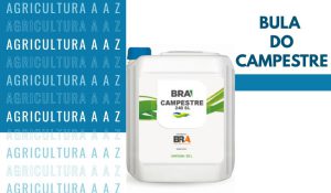Leia mais sobre o artigo Bula do Campestre: informações completas