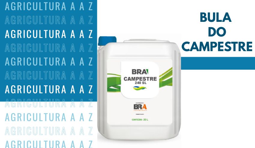 Leia mais sobre o artigo Bula do Campestre: informações completas