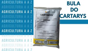 Leia mais sobre o artigo Bula do Cartarys CI: informações completas