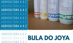 Leia mais sobre o artigo Bula do Joya CI: informações completas