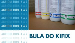 Leia mais sobre o artigo Bula do Kifix CI: informações completas
