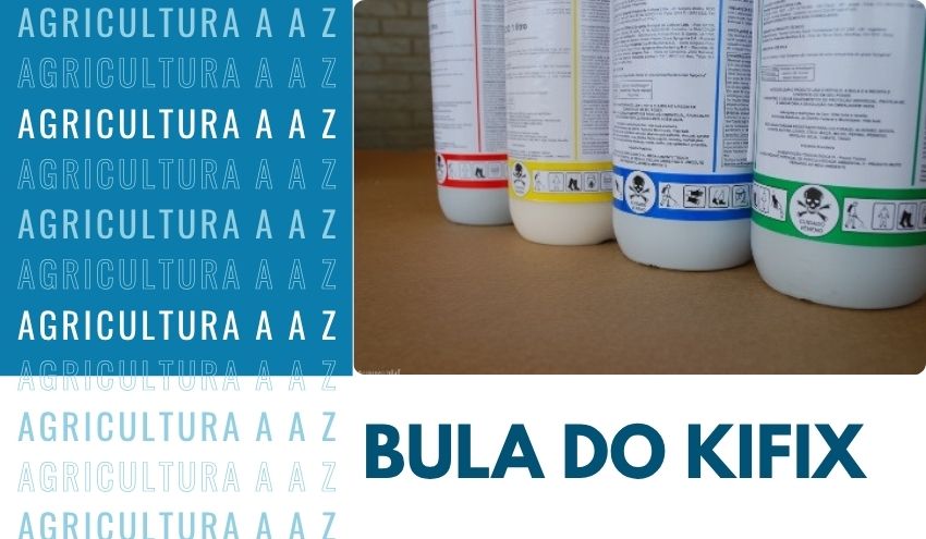 Leia mais sobre o artigo Bula do Kifix CI: informações completas