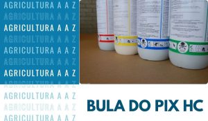 Leia mais sobre o artigo Bula do Pix HC CI: informações completas
