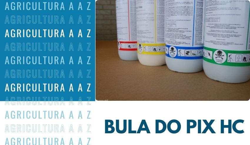 Leia mais sobre o artigo Bula do Pix HC CI: informações completas