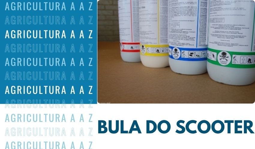 Leia mais sobre o artigo Bula do Scooter CI: informações completas