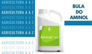 Leia mais sobre o artigo Bula do Aminol 806 CI: informações completas