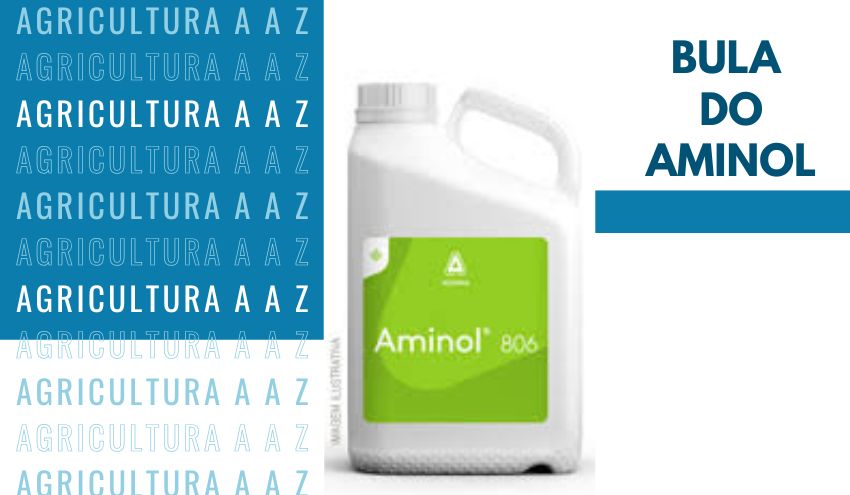 Leia mais sobre o artigo Bula do Aminol 806 CI: informações completas