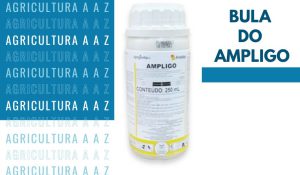 Leia mais sobre o artigo Bula do Ampligo CI: informações completas