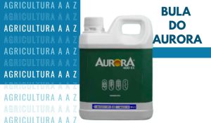 Leia mais sobre o artigo Bula do Aurora CI: informações completas