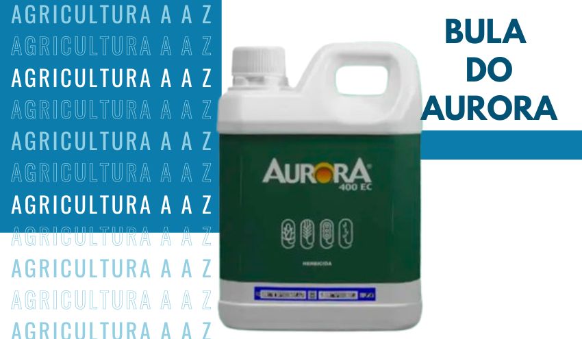 Leia mais sobre o artigo Bula do Aurora CI: informações completas