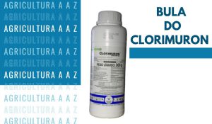 Leia mais sobre o artigo Bula do Clorimuron Prentiss CI: informações completas