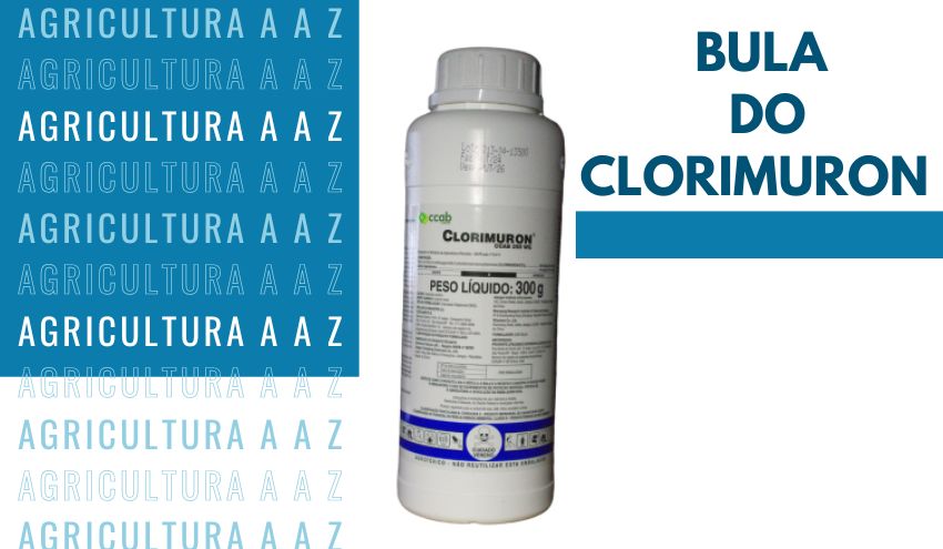 Leia mais sobre o artigo Bula do Clorimuron Prentiss CI: informações completas