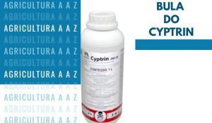 Leia mais sobre o artigo Bula do Cyptrin 250 CE CI: informações completas