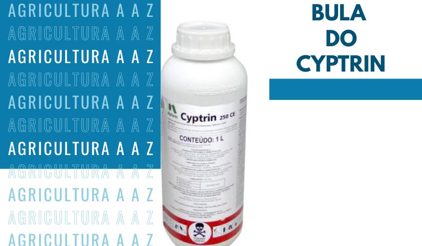 Leia mais sobre o artigo Bula do Cyptrin 250 CE CI: informações completas