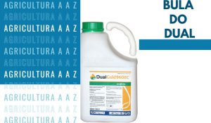 Leia mais sobre o artigo Bula do Dual Gold CI: informações completas