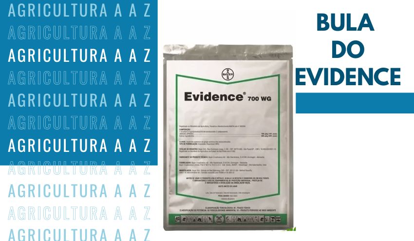 Leia mais sobre o artigo Bula do Evidence 700 WG CI: informações completas