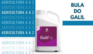 Leia mais sobre o artigo Bula do Galil SC / Safari CI: informações completas