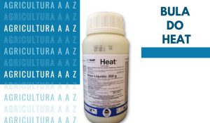 Leia mais sobre o artigo Bula do Heat: informações completas sobre