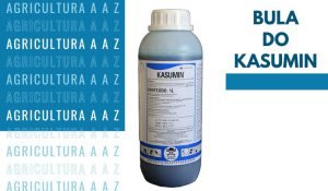 Leia mais sobre o artigo Bula do Kasumin CI: informações completas