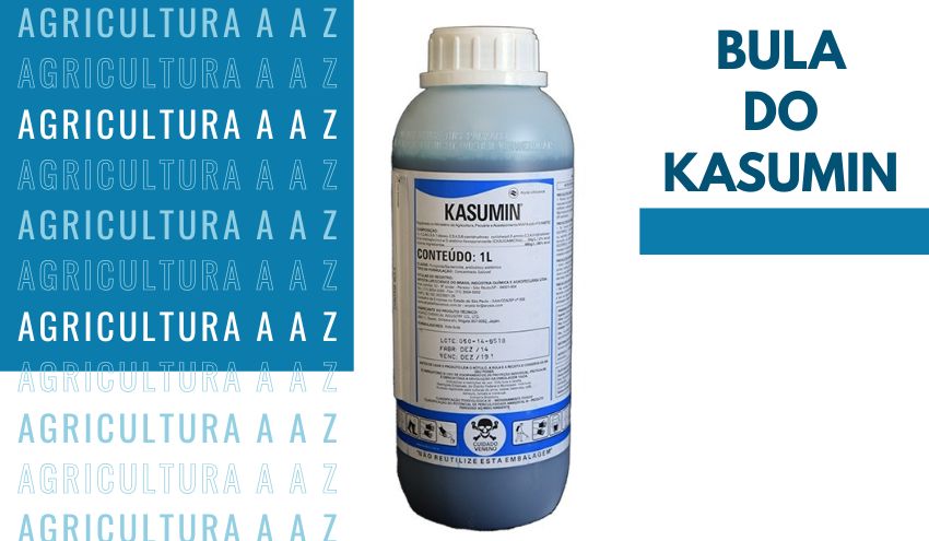 Leia mais sobre o artigo Bula do Kasumin CI: informações completas