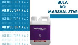 Leia mais sobre o artigo Bula do Marshal Star CI: informações completas