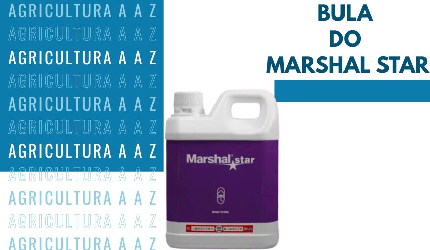 Leia mais sobre o artigo Bula do Marshal Star CI: informações completas