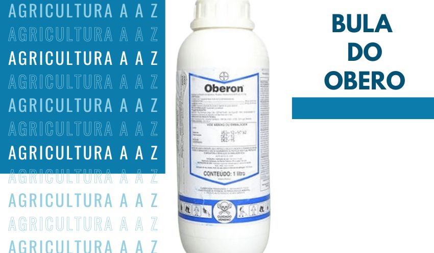 Leia mais sobre o artigo Bula do Oberon CI: informações completas