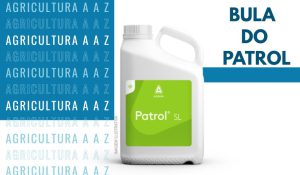 Leia mais sobre o artigo Bula do Patrol SL CI: informações completas