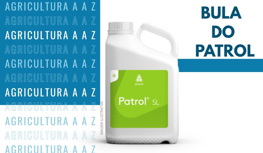 Leia mais sobre o artigo Bula do Patrol SL CI: informações completas