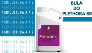 Leia mais sobre o artigo Bula do Plethora BR CI: informações completas