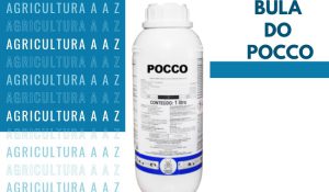 Leia mais sobre o artigo Bula do Pocco 480 SL CI: informações completas