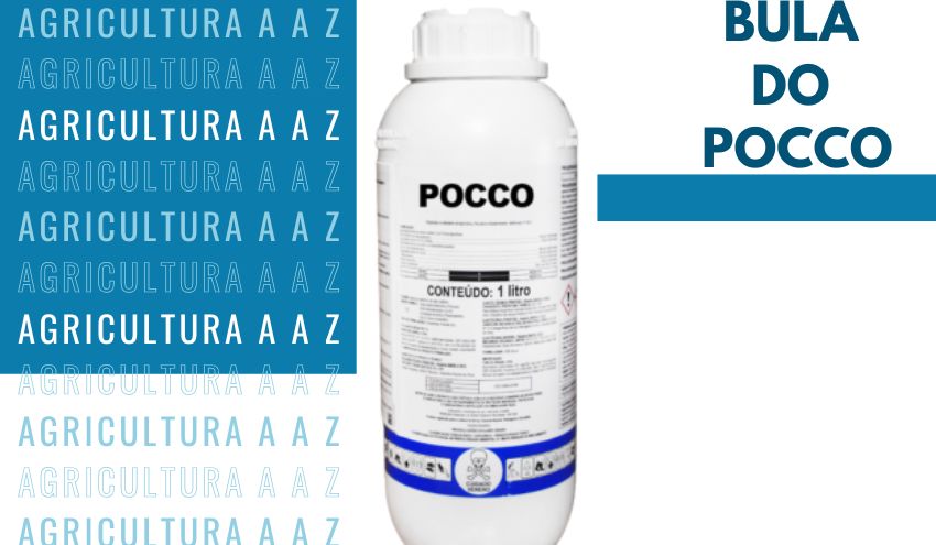 Leia mais sobre o artigo Bula do Pocco 480 SL CI: informações completas