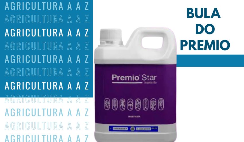 Leia mais sobre o artigo Bula do Premio CI: informações completas