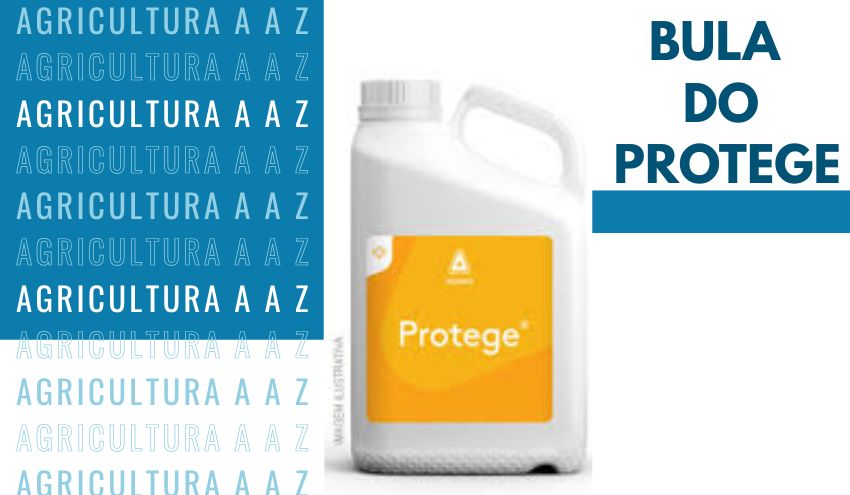 Leia mais sobre o artigo Bula do Protege CI: informações completas
