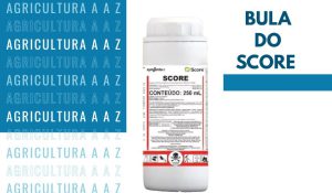 Leia mais sobre o artigo Bula do Score CI: informações completas