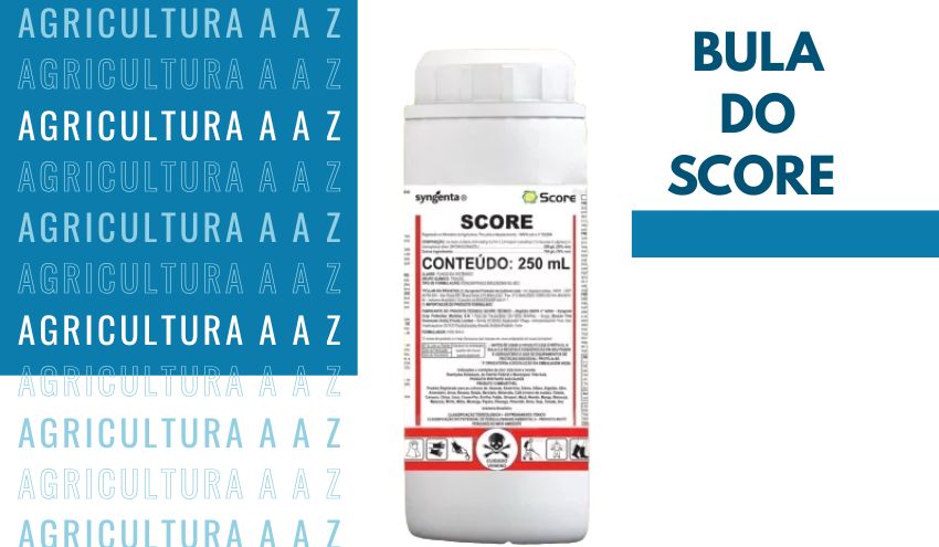 Leia mais sobre o artigo Bula do Score CI: informações completas