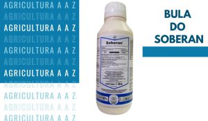 Leia mais sobre o artigo Bula do Soberan: informações completas