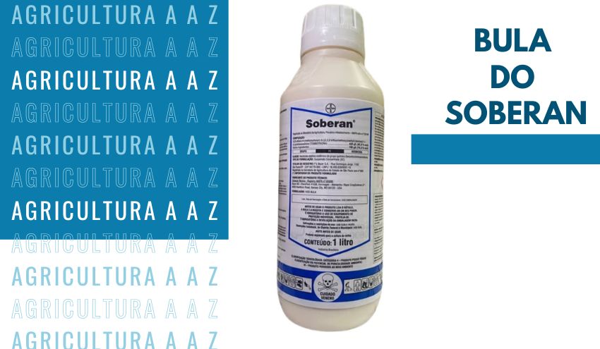 Leia mais sobre o artigo Bula do Soberan: informações completas