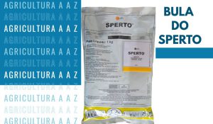 Leia mais sobre o artigo Bula do Sperto: informações completas sobre