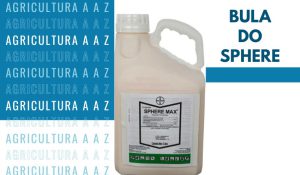 Leia mais sobre o artigo Bula do Sphere Max CI: informações completas