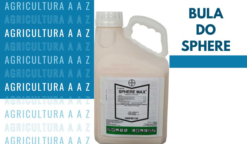 Leia mais sobre o artigo Bula do Sphere Max CI: informações completas