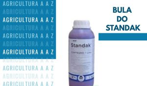 Leia mais sobre o artigo Bula do Standak Top CI: informações completas