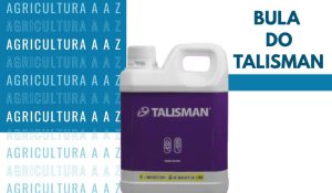 Leia mais sobre o artigo Bula do Talisman CI: informações completas