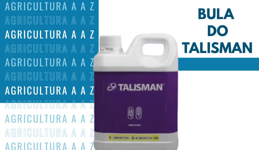 Leia mais sobre o artigo Bula do Talisman CI: informações completas