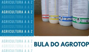 Leia mais sobre o artigo Bula do Agrotop (Pilardifen / Ditor 250 TM CI): informações completas