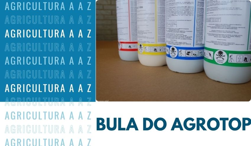 Leia mais sobre o artigo Bula do Agrotop (Pilardifen / Ditor 250 TM CI): informações completas