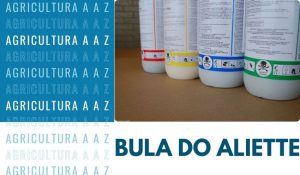 Leia mais sobre o artigo Bula do Aliette CI: informações completas